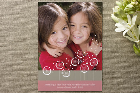 DandyLove Photo Valentine's Day Cards