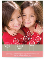 DandyLove Photo Valentine's Day Cards