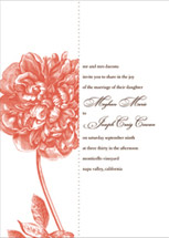 Meghan Wedding Invitations, by Wiley Valentine