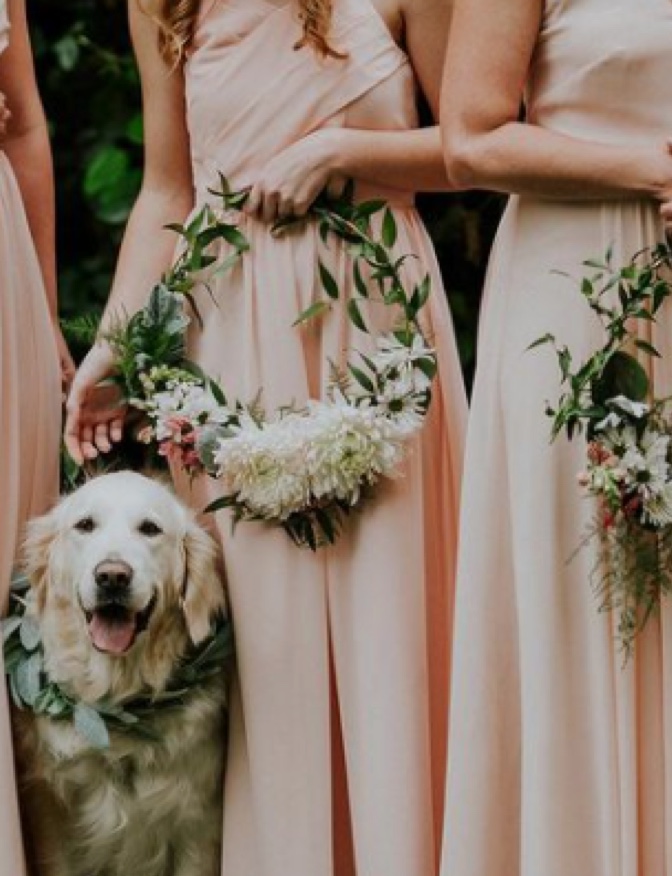 Wedding Emergency Kit: What you need to have packed in case something goes  wrong » Wild Cotton Photography