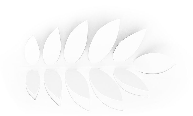 white paper leaves