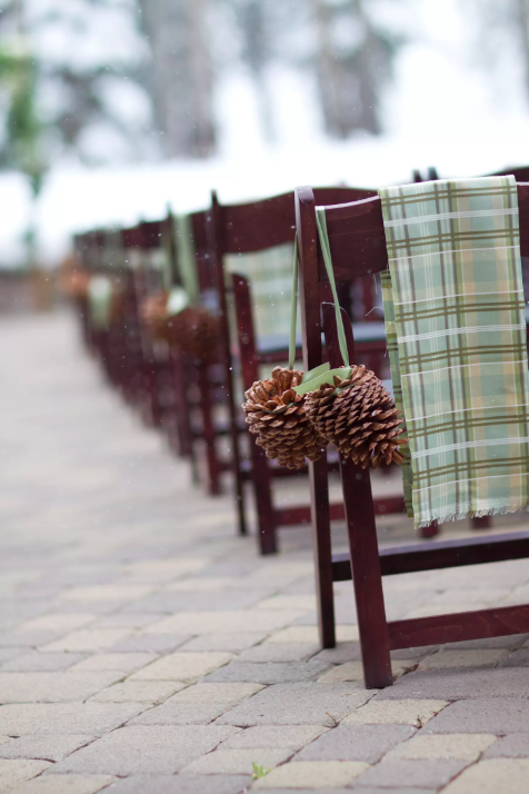 wedding aisle with chairs and pinecones