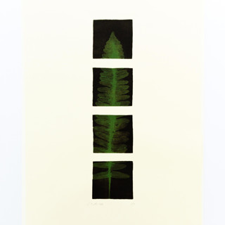 This is a multicolorassorted-colors original art by Dana Williamowsky called dragonfly fern print in standard