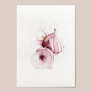 This is a purple original art by Angele Kamp called purple figs with magnolia flower in standard