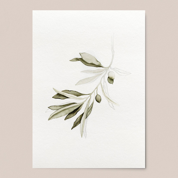 Green Olive Branch