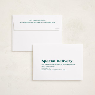 This is a spruce babys first christmas with standard by Liz Conley called a merry addition printing on recycled smooth signature in standard