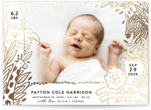 boy birth announcements minted
