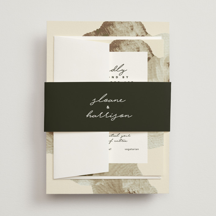 Organic Elegance Belly Bands by Carrie Moradi Minted