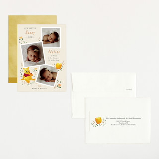 This is a honey petite birth announcements with standard by Oma N. Ramkhelawan called our little hunny printing on signature in petite