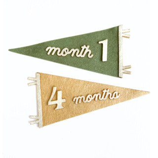 This is a multicolorassorted-colors nursery decor by Haven Print Co. called custom color - pennant flag milestone set in standard