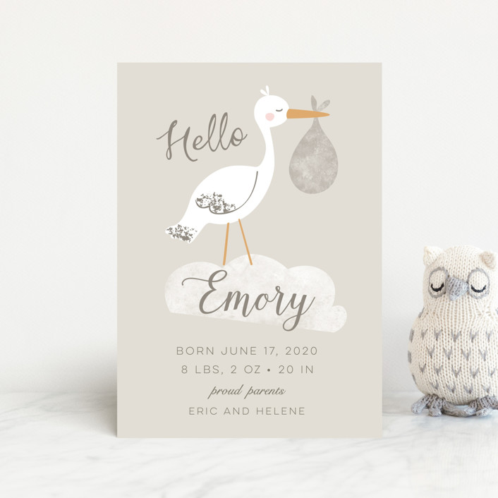 Baby Stork Birth Announcement Postcards by peetie design