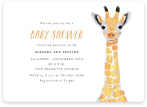 Baby Shower Invitations Minted