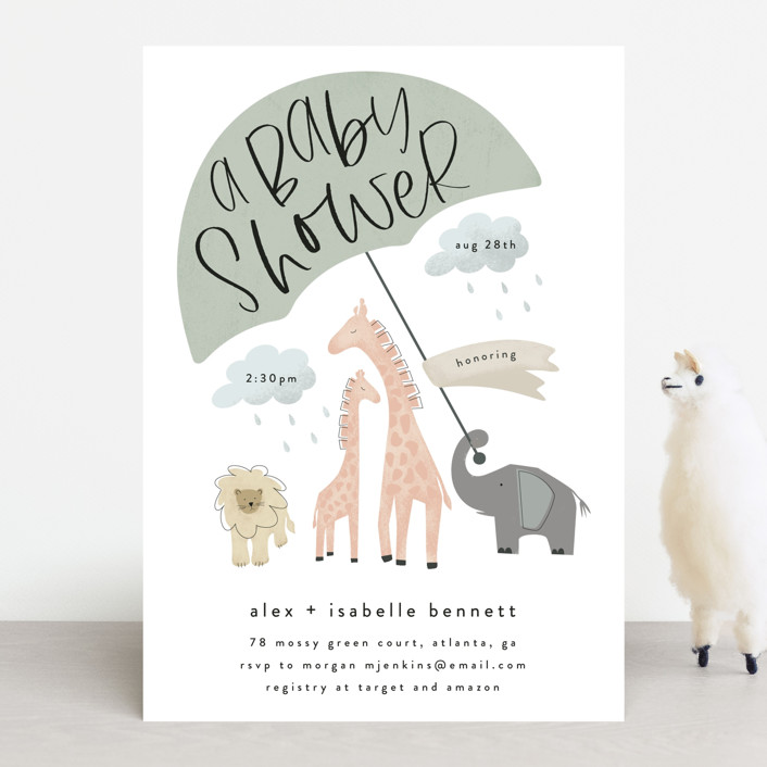 Baby Safari