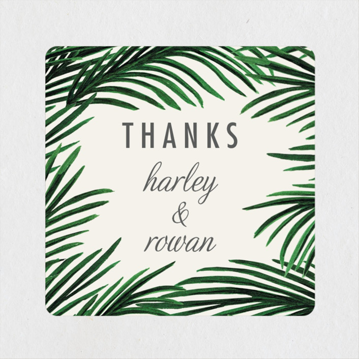 Tropical Love