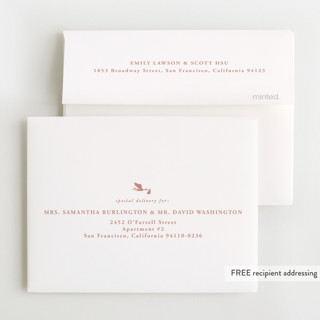 This is a blush baby thank you cards with foil pressed by Carolyn Nicks called new delivery printing on strathmore in standard