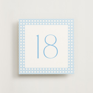 This is a sky table numbers by Ellen Schlegelmilch called delicate rattan sky (set of 20) in standard