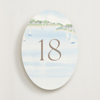 This is a aqua table numbers by Jennifer Wick called bristol aqua (set of 20) in standard