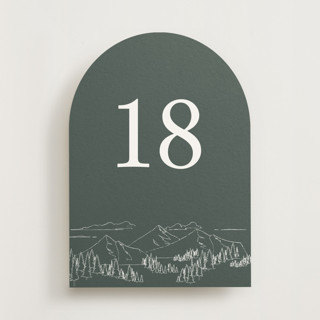 This is a pine table numbers by Sarah Brown called peaks pine (set of 20) in standard