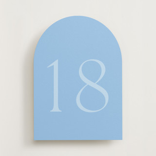This is a sky table numbers by Megan Davis called perriand sky (set of 20) in standard