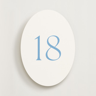 This is a sky table numbers by Megan Davis called perriand sky (set of 20) in standard