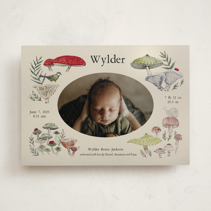 Woodland wonder