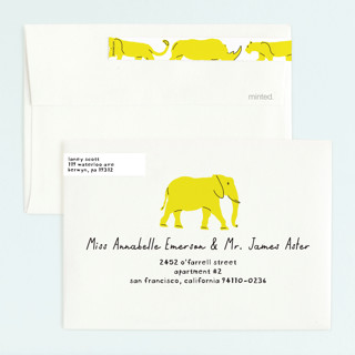This is a sun kids birthday invitations with standard by Phrosné Barwood called modern safari party printing on signature in standard