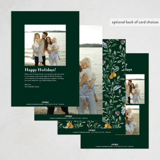 This is a evergreen photo christmas cards with standard by Sarah Knight called 12 days of christmas printing on recycled smooth signature in standard