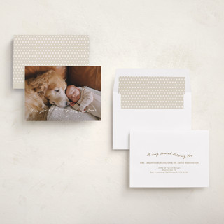 This is a snowfall photo christmas cards with standard by Leah Ragain called very merry little christmas printing on recycled smooth signature in standard