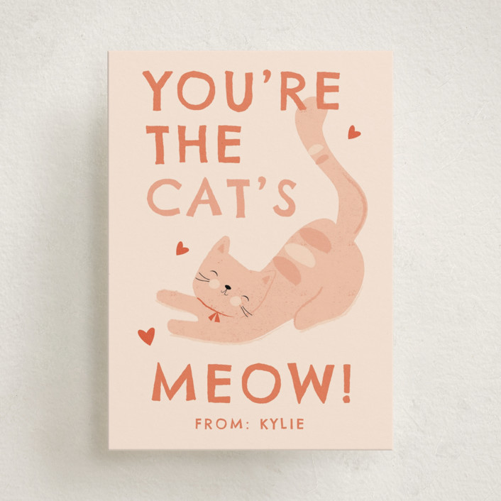 Cats Meow