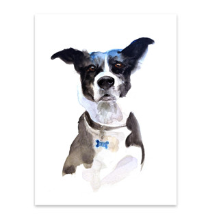 This is a multicolorassorted-colors commission art by Nate Abell called watercolor dog portrait, 9x12", commission painting in standard