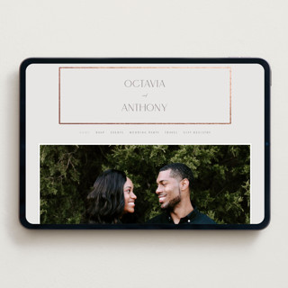 This is a sandstone wedding websites by Nicole Walsh called regal printing on digital paper in standard