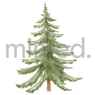 This is a leaf design elements by Petra Kern called evergreen tree in standard