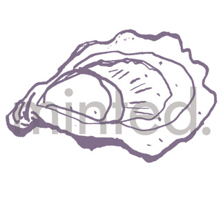 This is a eggplant design elements by Cass Loh called oyster shell in standard