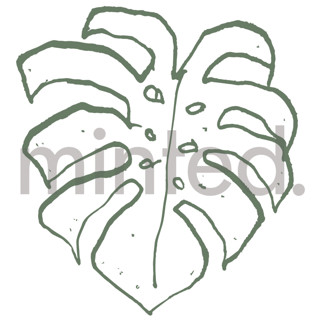 This is a palm design elements by Cass Loh called monstera in standard