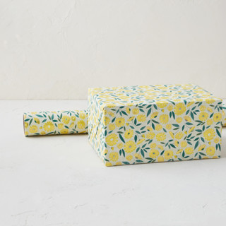 This is a daisy wrapping paper by Jenna Holcomb called sweet daisies in standard