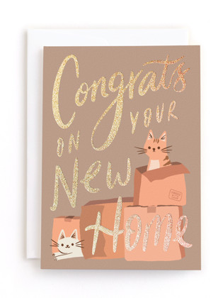 This is a cocoa tbd by Vivian Yiwing called cat in a box in greeting cards