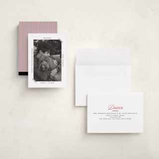 This is a coal graduation announcements with standard by Claudia Orengo called color stripes printing on recycled smooth signature in grand