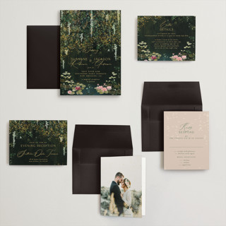 This is a mystic wedding invitations with standard by Phrosné Barwood called new orleans from disney's princess and the frog printing on signature in grand