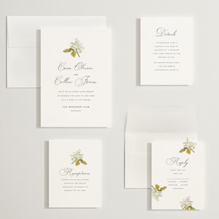 This is a linen wedding invitations with standard by Olivia Kanaley Inman called limelight printing on signature in grand