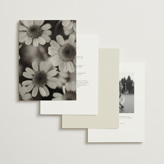 This is a vanilla wedding invitations with standard by Blustery August called nonnette printing on signature in grand