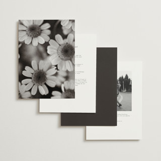 This is a ink wedding invitations with standard by Blustery August called nonnette printing on signature in grand