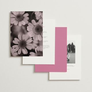 This is a fuchsia wedding invitations with standard by Blustery August called nonnette printing on signature in grand