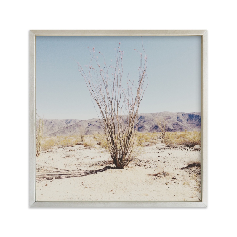 Ocotillo Wall Art Prints by Abby Laverick | Minted