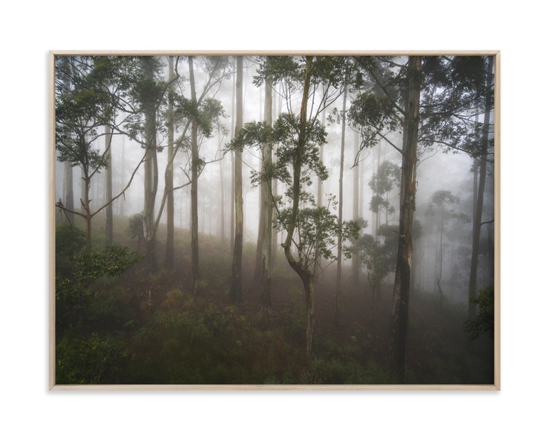 Trees in the Mist Wall Art Prints by Benno and Noosa Minted