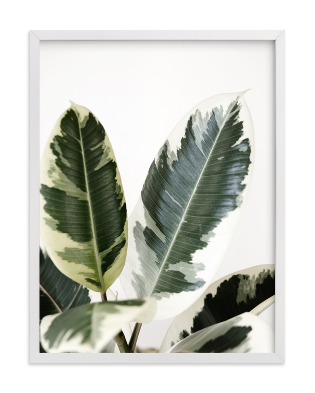 Michaels Collection of Floral & Botanical Art | Minted