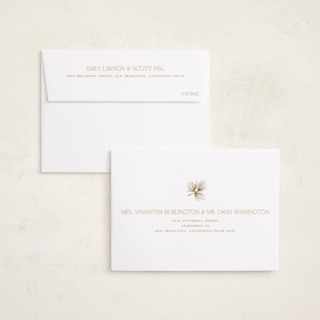 This is a eggnog babys first christmas with standard by Benita Crandall called new addition printing on recycled smooth signature in petite