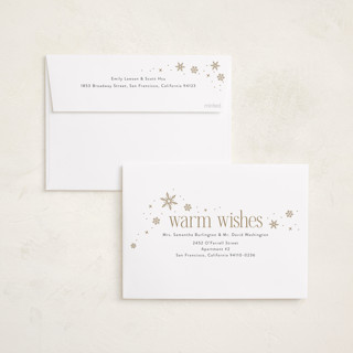 This is a polar bear foil pressed holiday cards with foil pressed by Ashlee Townsend called large holidays printing on recycled smooth signature in standard