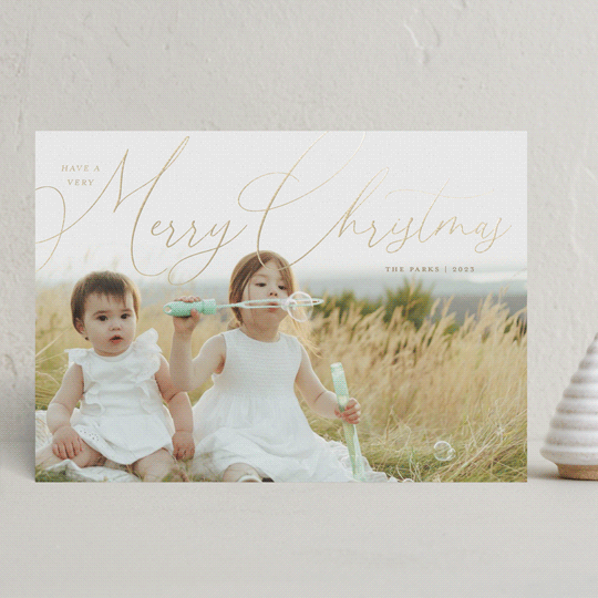 Have a Very Merry Christmas