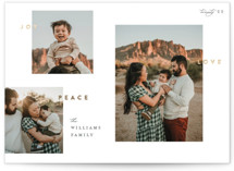 This is a white foil stamped holiday card by Robert and Stella called Joy Peace Love with foil-pressed printing on recycled smooth signature in standard.