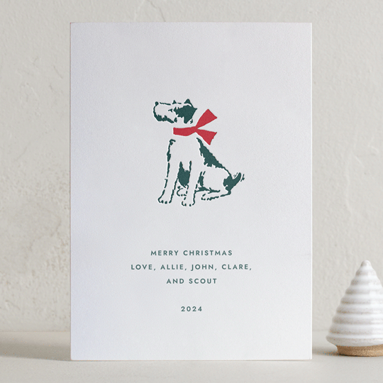 Present Pawfect